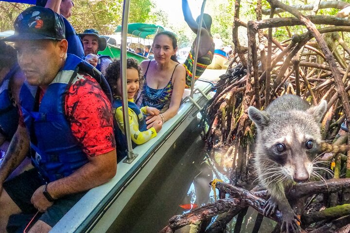 5 Islas con Encanto – Golden: Aventura, Naturaleza y Diversión en un Solo Día - Image 3