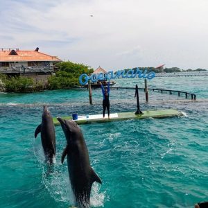 3 Islas Privadas VIP con Oceanario – Naturaleza, Diversión y Relax