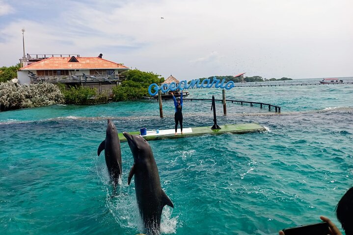 3 Islas Privadas VIP con Oceanario – Naturaleza, Diversión y Relax