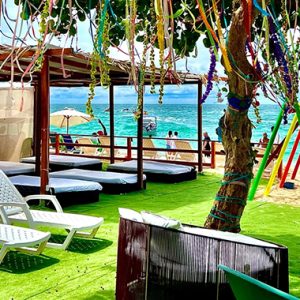 Mirador de Barú y Tour de Mapaches – Aventura Natural entre Manglares