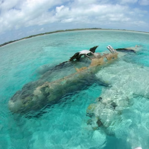 Tour 4 Islas Recargado VIP