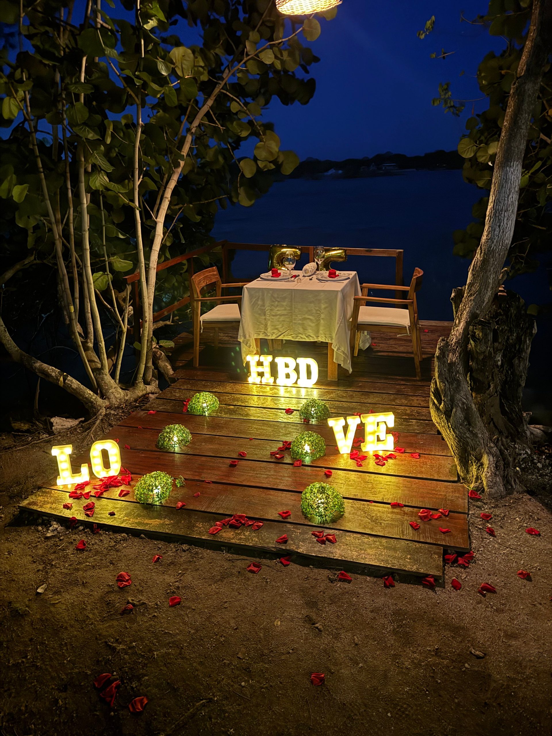 3 Islas Privadas VIP con Oceanario – Naturaleza, Diversión y Relax - Image 9