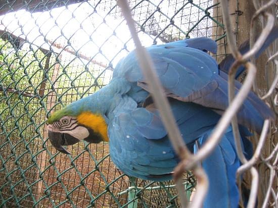 Isla Múcura – Un Paraíso Turquesa en el Archipiélago de San Bernardo - Image 10