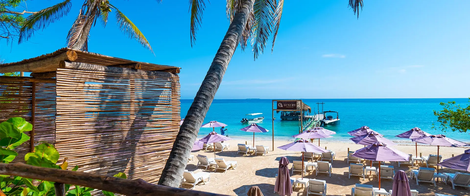 Luxury Beach Club – Open Bar, Sabor y Relajo en el Corazón del Rosario - Image 2