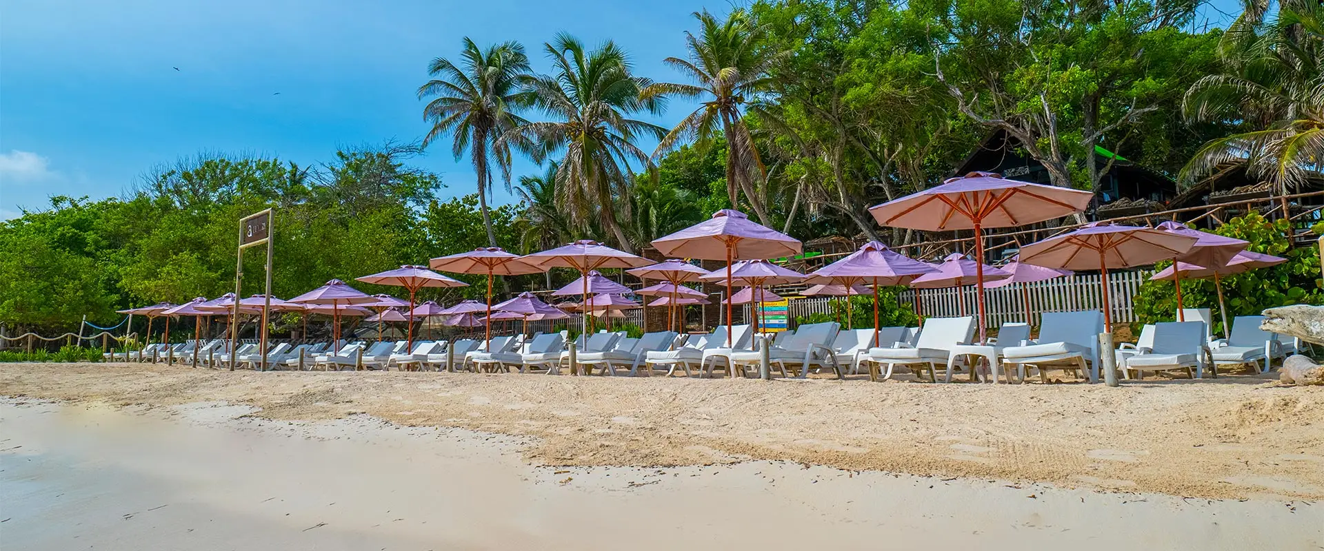 Luxury Beach Club – Open Bar, Sabor y Relajo en el Corazón del Rosario - Image 4